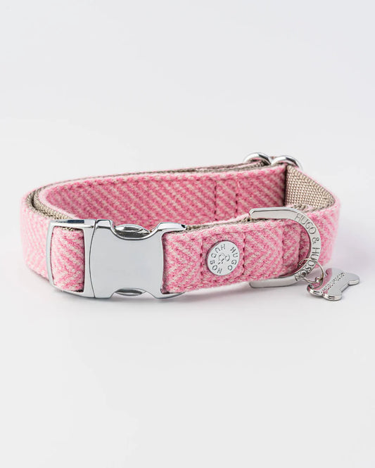 Collier pour chien